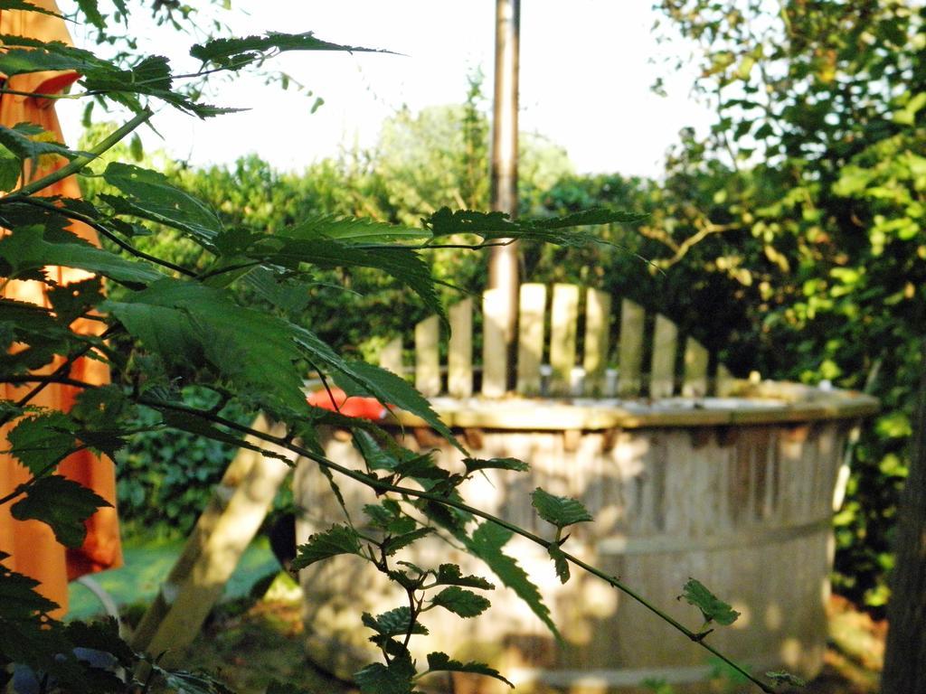 Bed & Breakfast Hofstede Het Klaphek Randwijk Pokoj fotografie