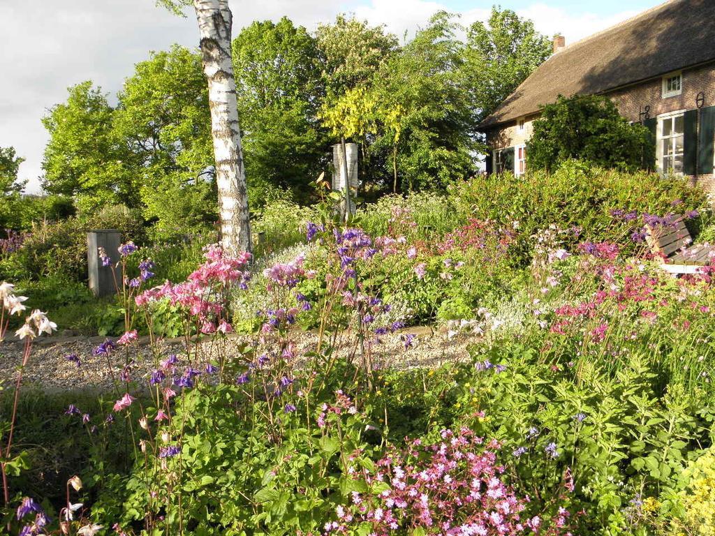 Bed & Breakfast Hofstede Het Klaphek Randwijk Pokoj fotografie